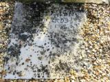 image of grave number 679342